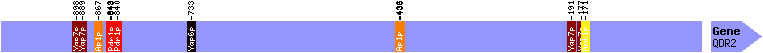 Generated Image with TFs binding to gene promoter